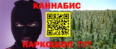 шишки Ногинск
